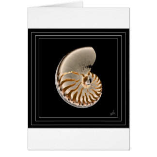 nautilus