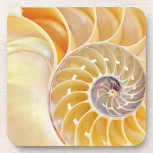 Nautilus Hard plastic coaster
