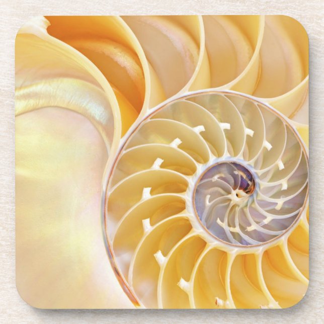 Nautilus Hard plastic coaster (Front)