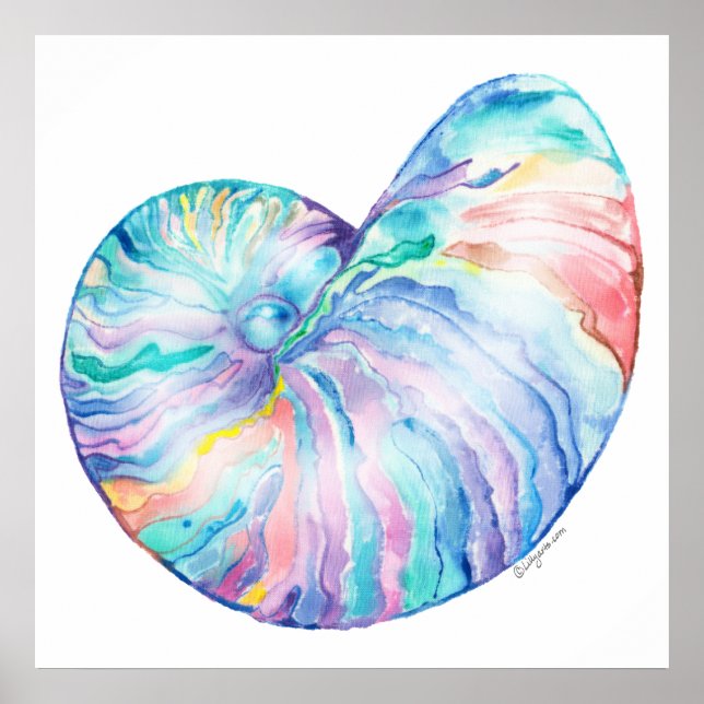 Nautilus Infinity Fine Art Print and Poster (Front)