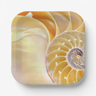 Nautilus Paper Plate