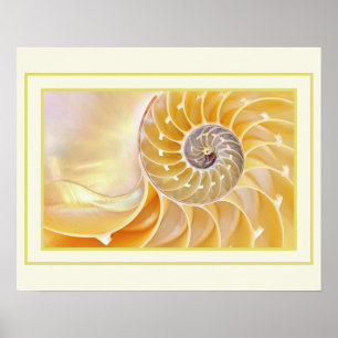 Nautilus Poster