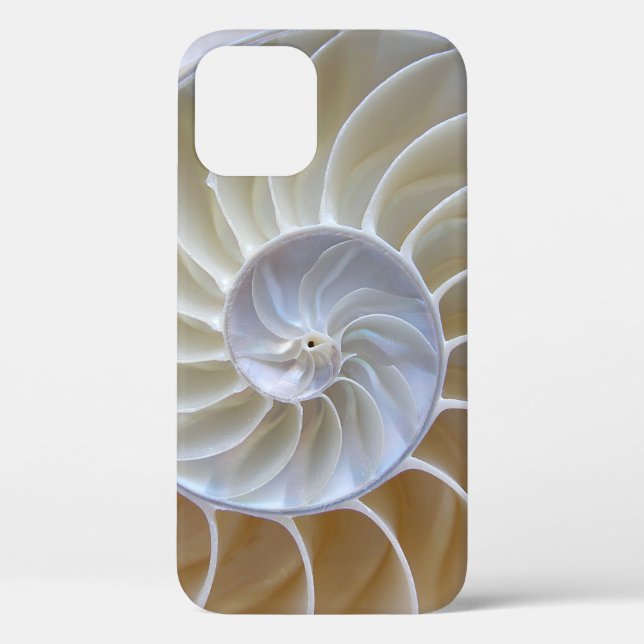 Nautilus Sea Shell Photograph Case-Mate iPhone Case (Back)