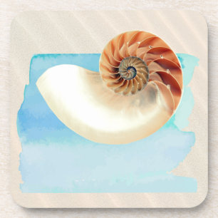 Nautilus Seashell and Sand Coaster