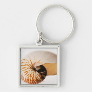 Nautilus seashell (Nautilus stenomphalus) Key Ring