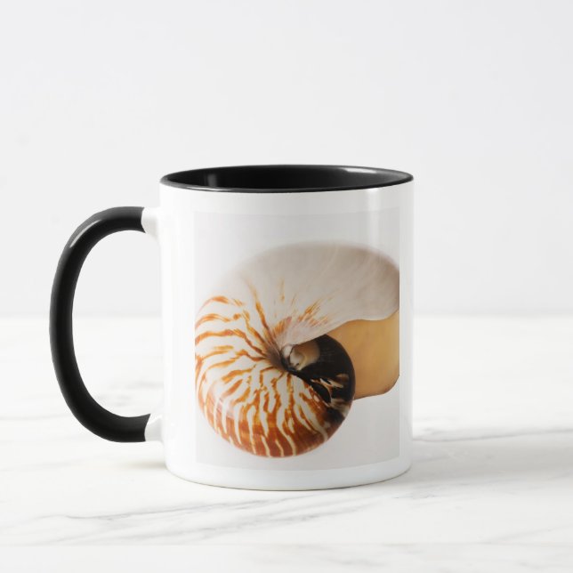Nautilus seashell (Nautilus stenomphalus) Mug (Left)
