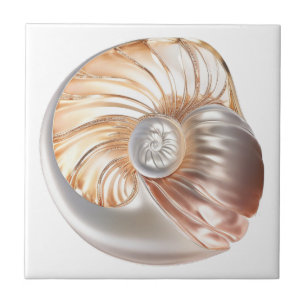 Nautilus seashell orange pearl 3D beach sea  Tile