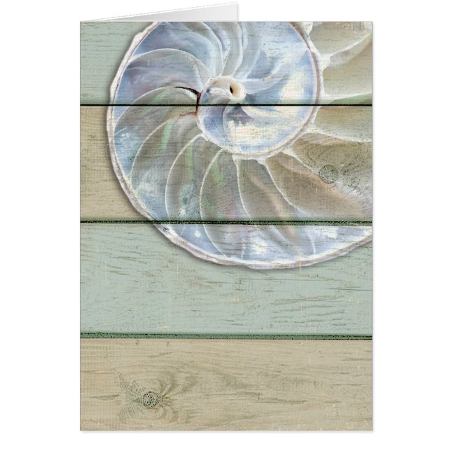 Nautilus Shell (Front)