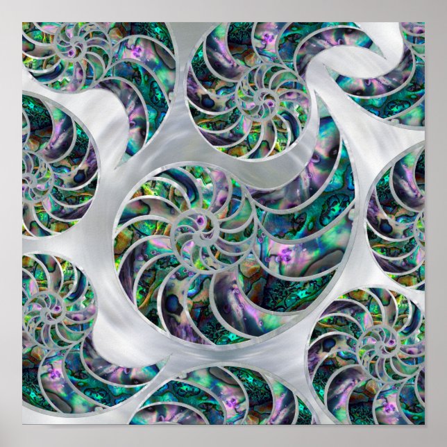 Nautilus Shell Abalone and Pearl Poster (Front)