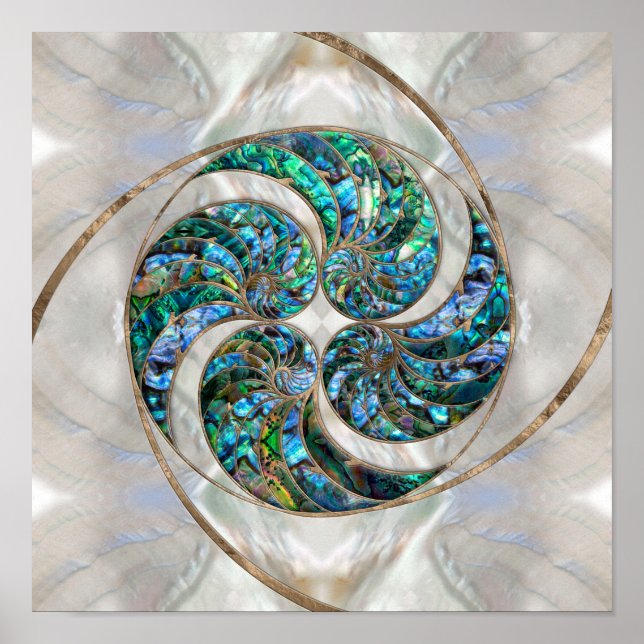 Nautilus Shell - Abalone and Pearl Poster (Front)