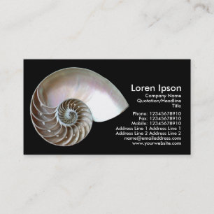 Nautilus Shell - Black Business Card