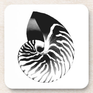 Nautilus shell - black, grey and white coaster