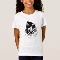 Nautilus shell - black, grey and white