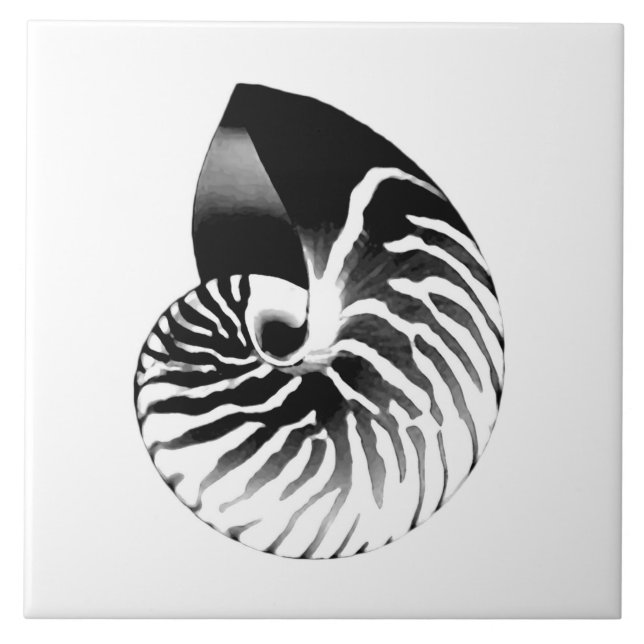 Nautilus shell - black, grey and white tile (Front)