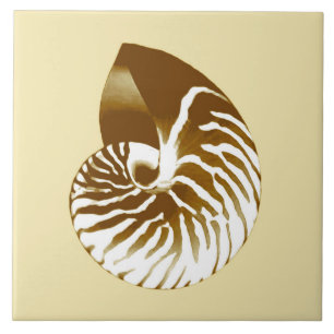 Nautilus shell - brown, white and beige tile