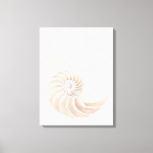 Nautilus shell, close-up canvas print