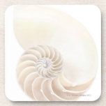 Nautilus shell, close-up coaster<br><div class="desc">Nautilus shell,  close-up | GAVIN KINGCOME/SPL | AssetID: 85757738</div>