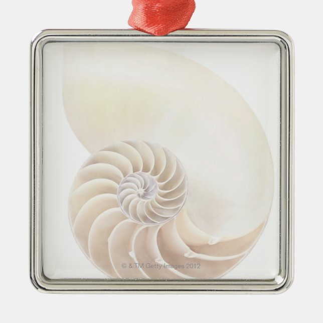 Nautilus shell, close-up metal tree decoration (Front)