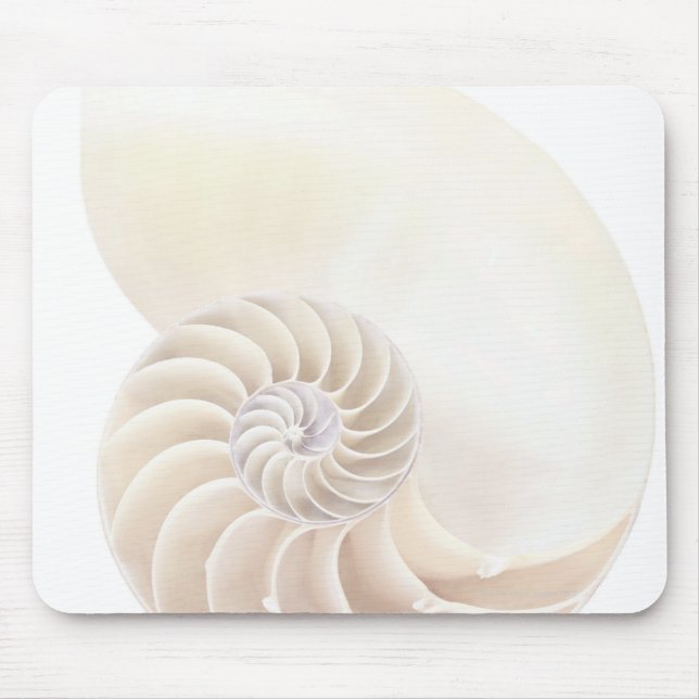 Nautilus shell, close-up mouse mat (Front)