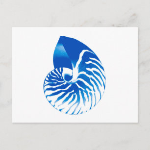 Nautilus shell - cobalt blue and white postcard
