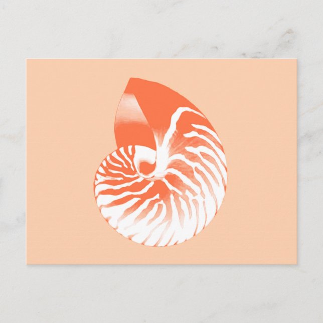 Nautilus shell - coral orange and white postcard (Front)