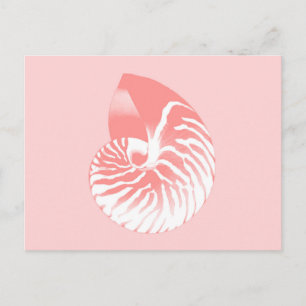 Nautilus shell - coral pink and white postcard