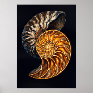 Nautilus Shell Cross-Section — Golden Spiral Poster