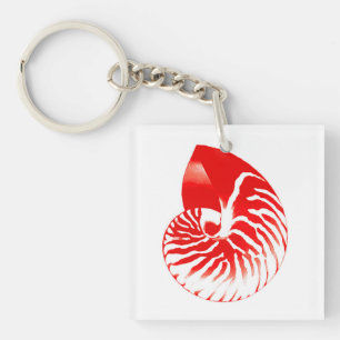 Nautilus shell - dark red and white key ring