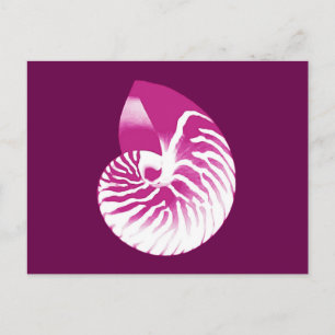 Nautilus shell - eggplant purple and white postcard