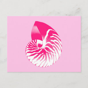 Nautilus shell - fuchsia pink and white postcard