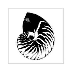 Nautilus Shell Illustration Rubber Stamp
