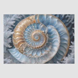 Nautilus Shell Inside Decoupage Tissue Paper