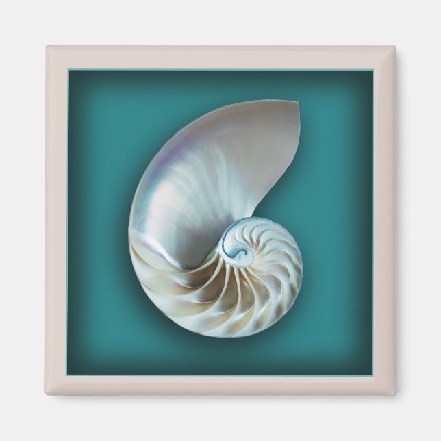 Nautilus shell magnet (Front)