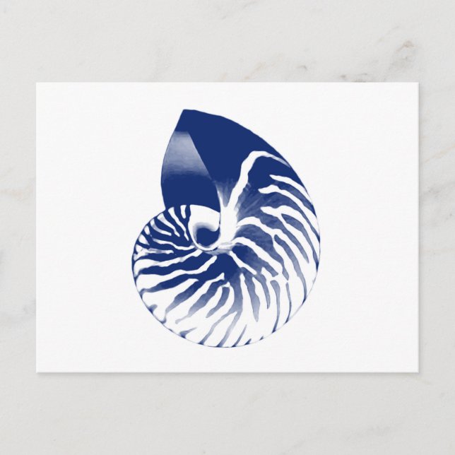 Nautilus shell - navy blue and white postcard (Front)
