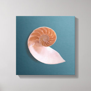 Nautilus Shell on Ocean Blue Canvas Print