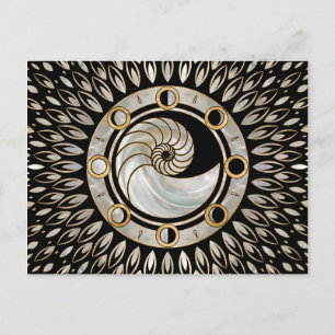 Nautilus Shell - Phases of the moon Postcard