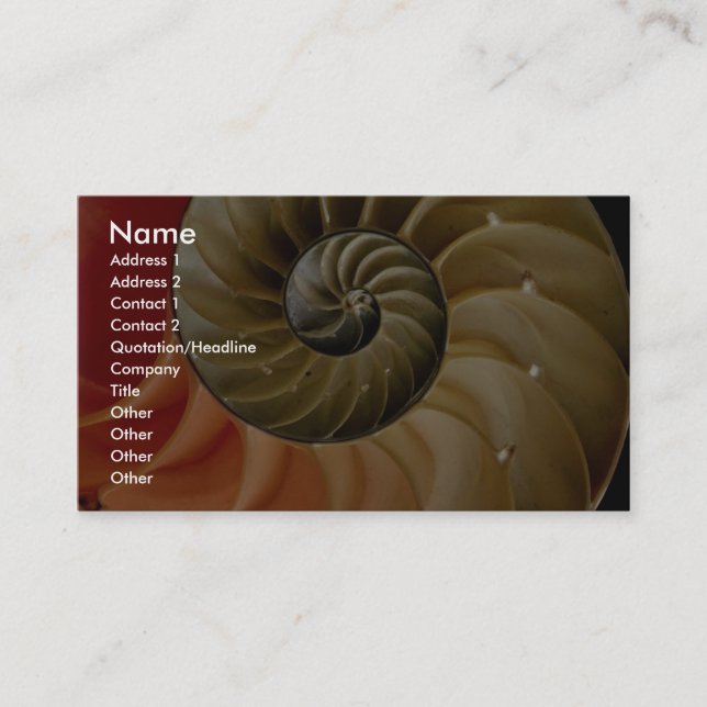 Nautilus shell Photo Business Card (Front)