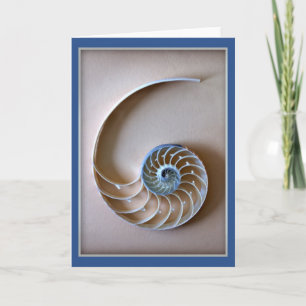 Nautilus Shell Section Card
