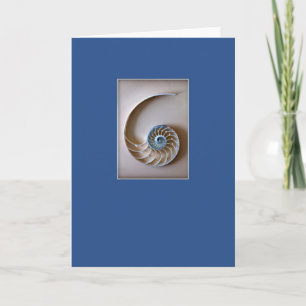 Nautilus Shell Section Card