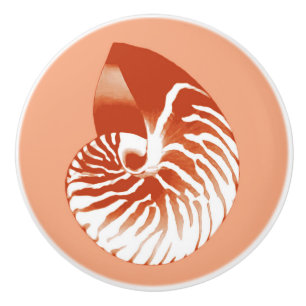 Nautilus shell - terracotta and white ceramic knob