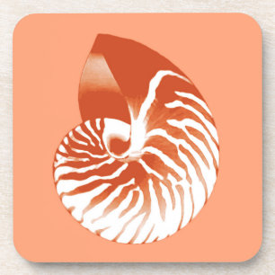 Nautilus shell - terracotta and white coaster