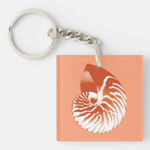 Nautilus shell - terracotta and white key ring