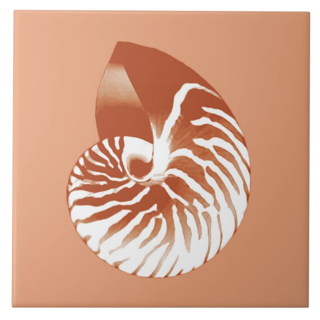 Nautilus shell - terracotta and white tile (Front)