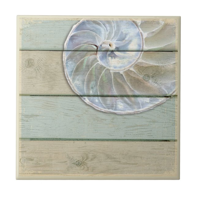 Nautilus Shell Tile (Front)