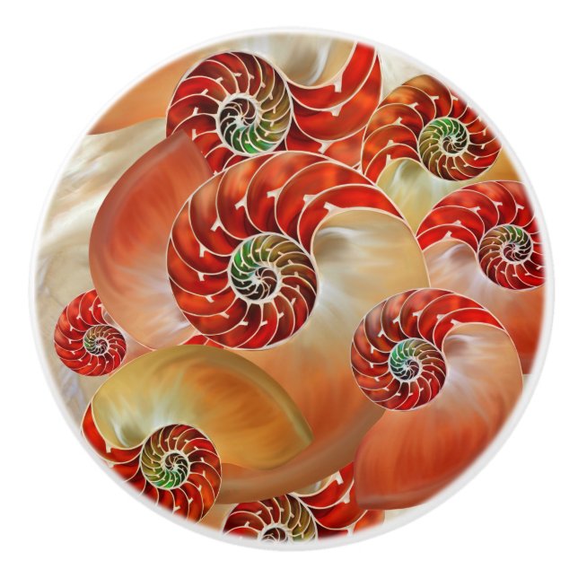Nautilus Shells Ceramic Knob (Front)