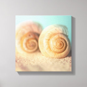 Nautilus Shells On Beach Canvas Print