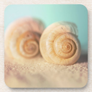 Nautilus Shells On Beach Coaster
