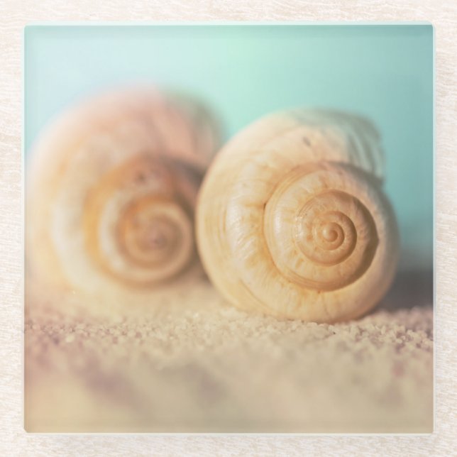 Nautilus Shells On Beach Glass Coaster (Front)