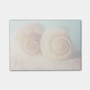 Nautilus Shells On Beach Post-it Notes