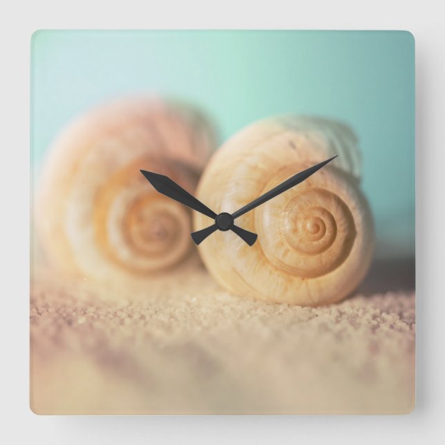 Nautilus Shells On Beach Square Wall Clock (Front)